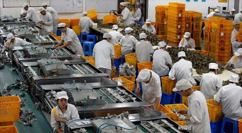 大學(xué)生暑期流水線 月入五六千，只為賺出一臺iPad